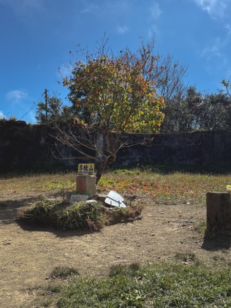 尖石鄉賞楓季-李崠山古堡、秀巒楓景、鎮西堡巨木群2958293