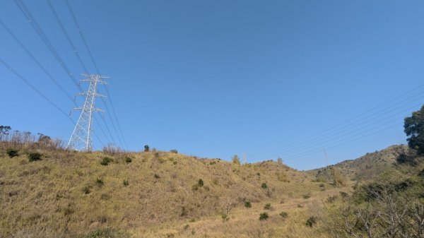 竹坑南寮登山步道2719381