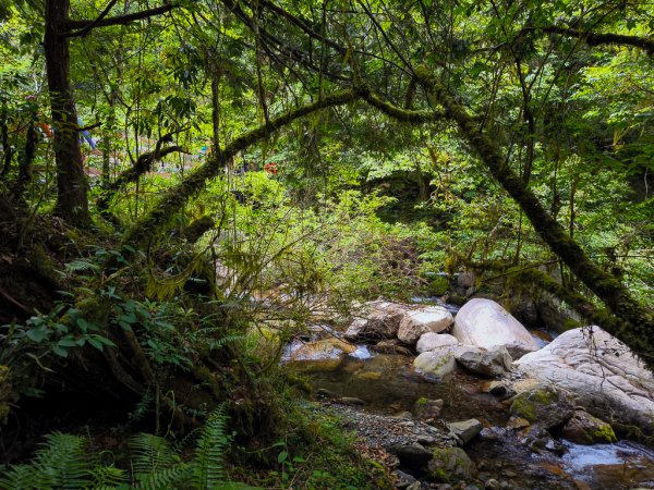 2025-05-17 羅葉尾溪秘境2792414