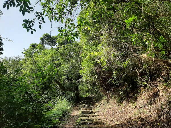 走遍陽明山：紗帽山、青楓步道、中正山2119873