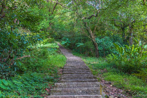 [新北]汐止大尖山2906094