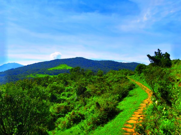 夏觀碧草如茵：頂山石梯嶺步道648287