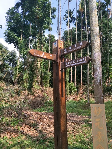 2019 11 14 竹子尖山步道735161