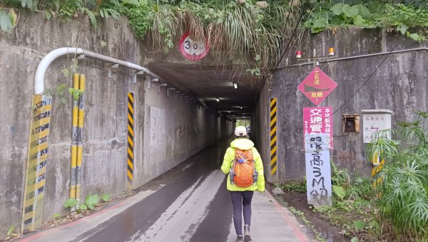 (姨婆趴趴走)第四十七集:新北土城大暖坑山等諸峰攀登連走2738731