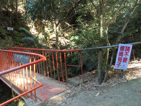 豐原三崁頂健康步道3上2下O形2696134