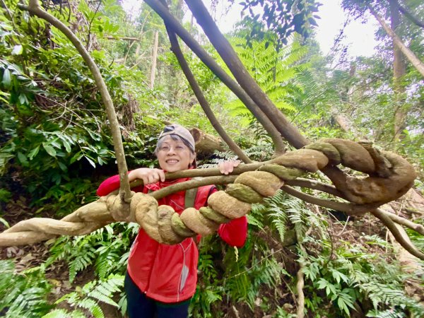 坐公車接駁的神仙縱走2707461
