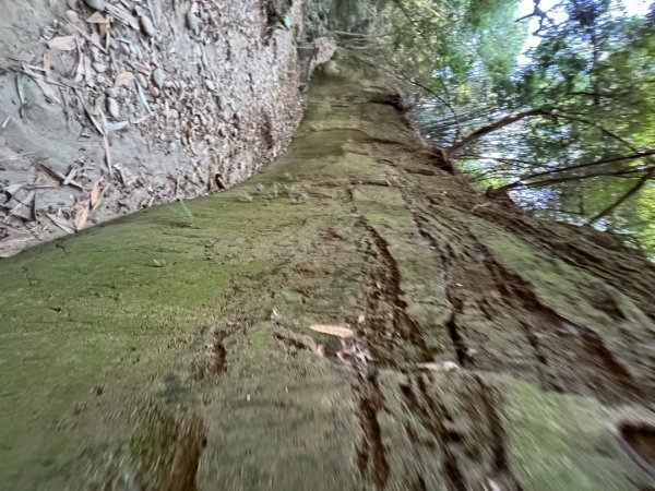 彰化一線天2657570