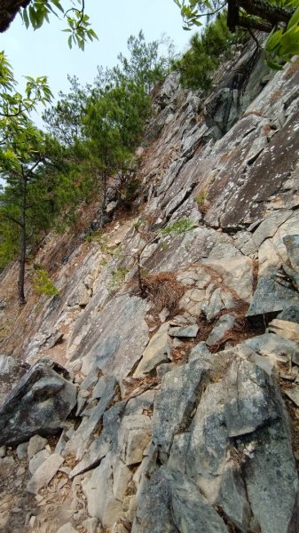 東卯山東南稜原路往返（德芙蘭步道小o繞）尋找失落的石觀音2082147