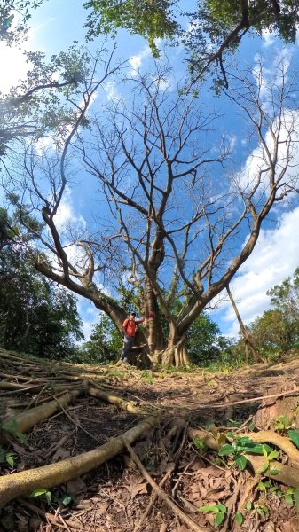 基隆東西天際線縱走(微加強版)2695571