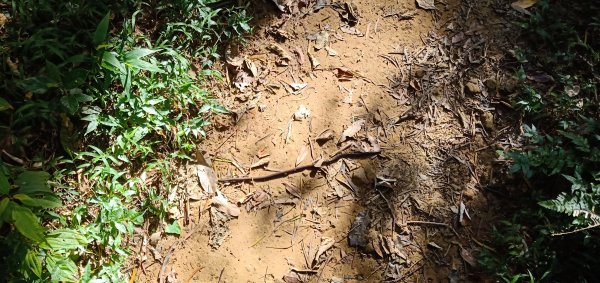 2019-07-13 溪洲山 + 石門水庫2792258