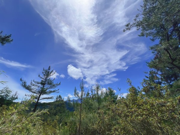 ~ 池 有 山 / 品 田 山 ~2854053