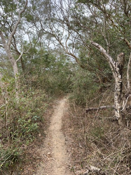 20250404屏東北獅子頭山-霧里乙山2757465