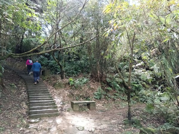 姜子寮山步道2734823