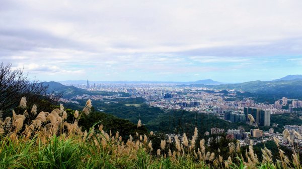 汐止大尖山2971879