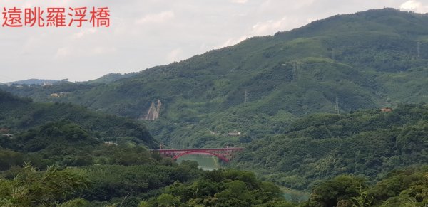 小烏來森林步道-水圳古道-義興吊橋600191