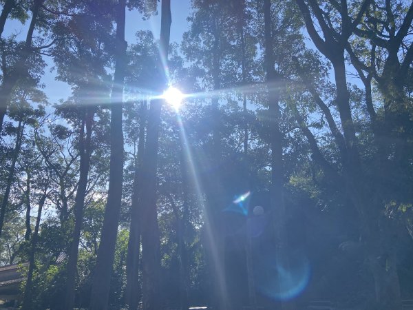 柴山，一年四季3085778