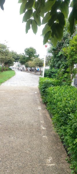 桃園老街溪2928628