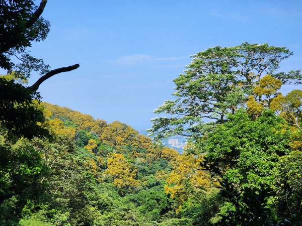 新竹芎林｜飛鳳山×石壁潭山｜飛石步道南線下切至觀日坪古道1800m入口3045966