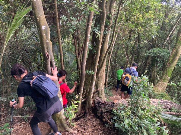 關西赤柯山、東獅頭山步道2278810