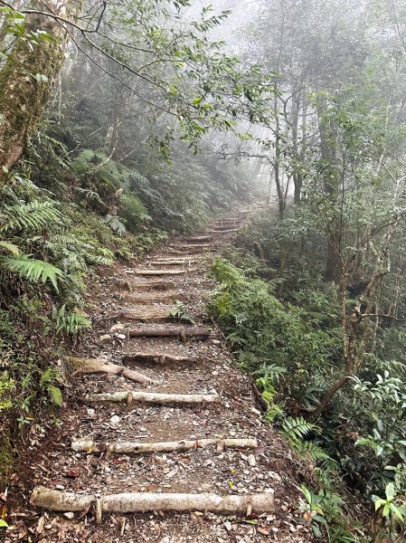 浸水營古道-年輕人爬山趣2767160
