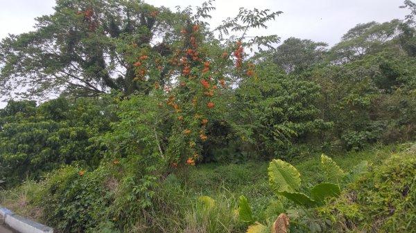 內樹尾、田中**山2708949