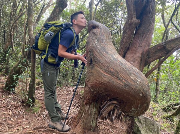 屋我尾山.橫嶺山.沙蓮山【沒有口罩的山林才對味!!】