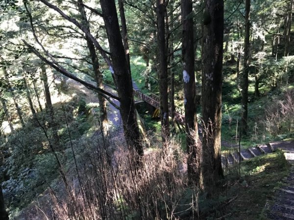 阿里山雙峰大塔山對高岳連走451420