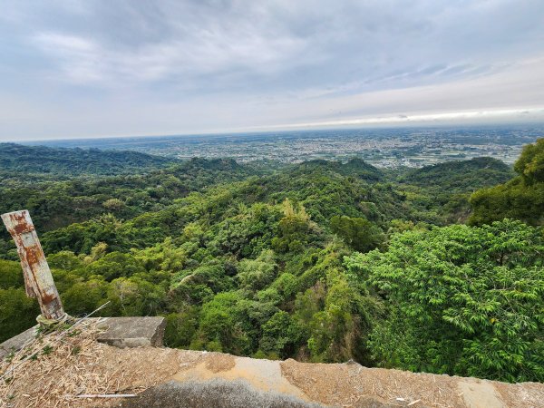 20250223田中大小劍與橫山2939836