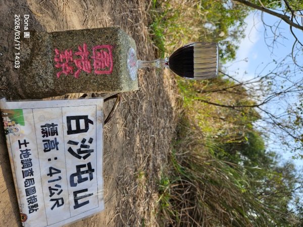 白沙屯山(飯店山).通宵虎頭山＆神社.塗崁頂山.新埔福德山3017974