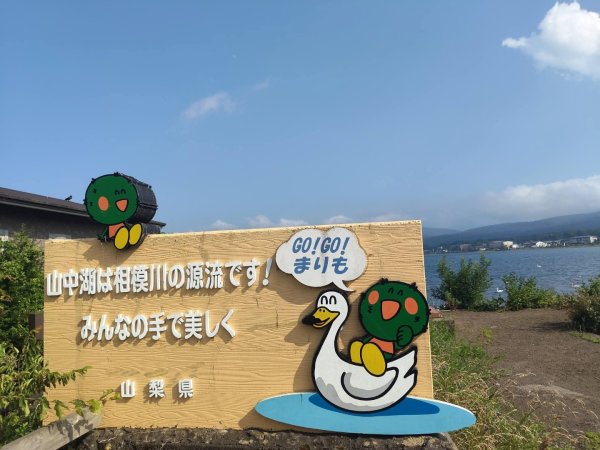 山梨縣山中湖(天鵝湖)3089733