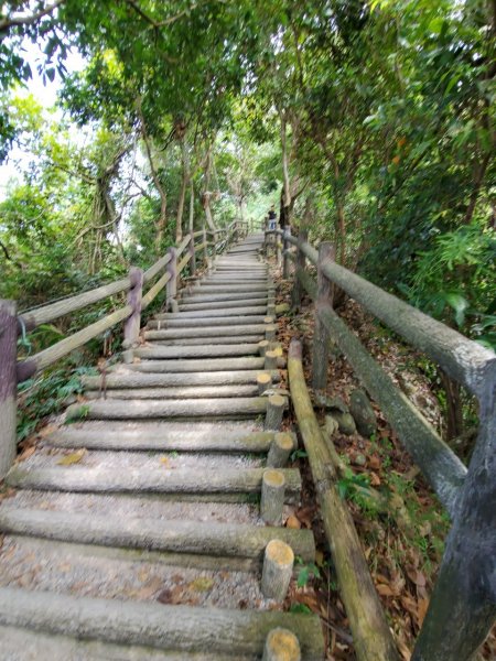 台中大坑頭嵙山697984