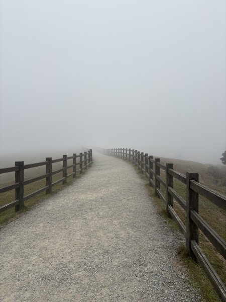 陽明山東西大縱走-東段2984547
