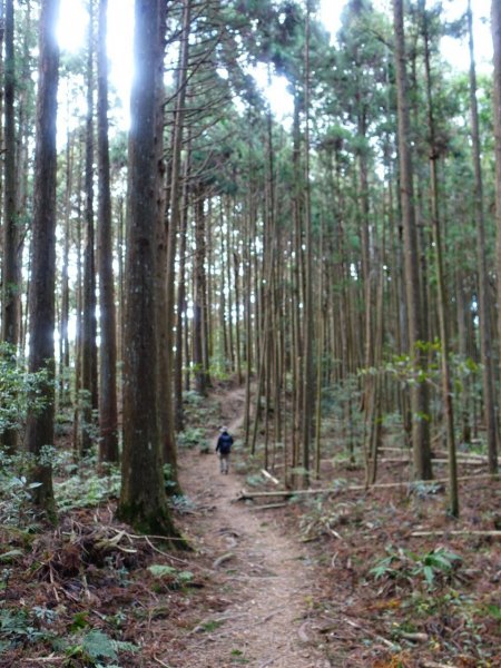 高島縱走1199159