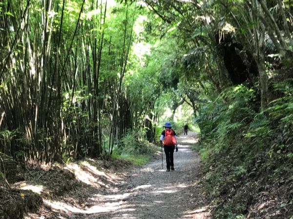 聖母登山步道上三角崙山381337