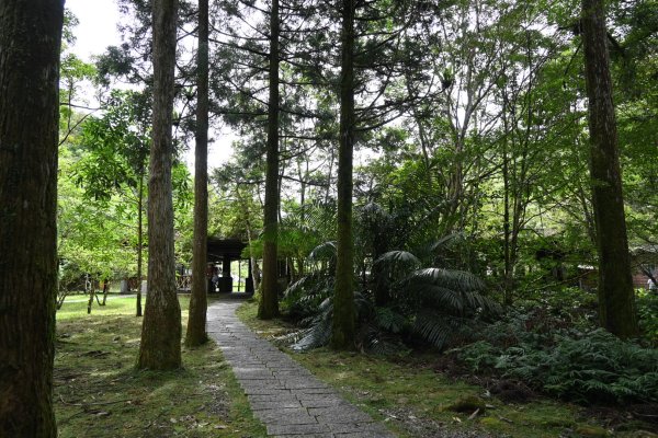 2025_0712 福山植物園2836144