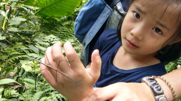 新溪洲山之樂400375