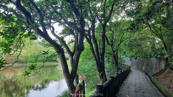 《台北》城市晨運｜南港公園後山埤公園O繞202505232795842