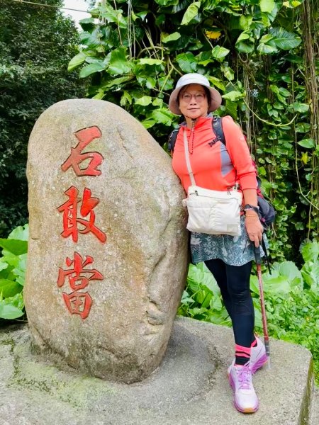 關西大東坑山/草長難過  順訪東安古橋2930478