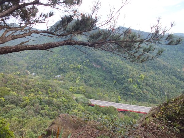 汐止區彩虹橋岩稜+柯子林山+金明山+如意湖O型2776156