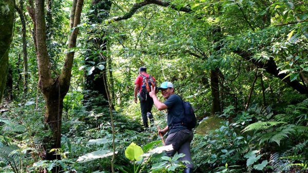 值得深入探索、細細品味的台北抹茶山1983519