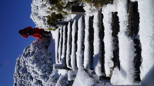 合歡東峰追雪趣1237034