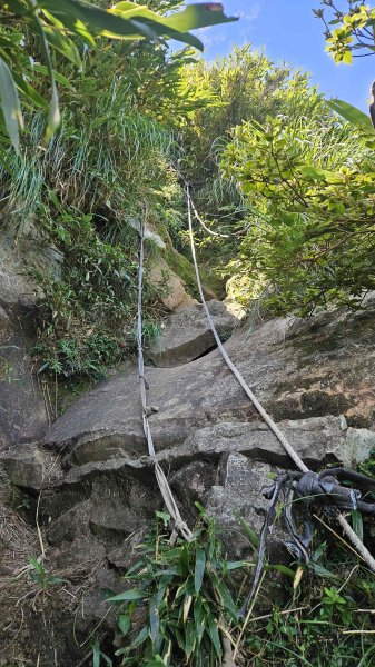 20250820金童玉女月牙天沖(金童嶺-玉女嶺-女王尖-月牙嶺-瑞光嶺-明月崙-清淨嶺-文筆嶺-清2872753