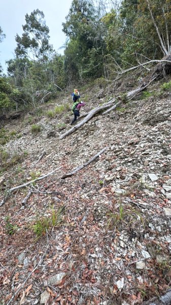 六龜警備線南段（藤枝-茂林）2天1夜2758269