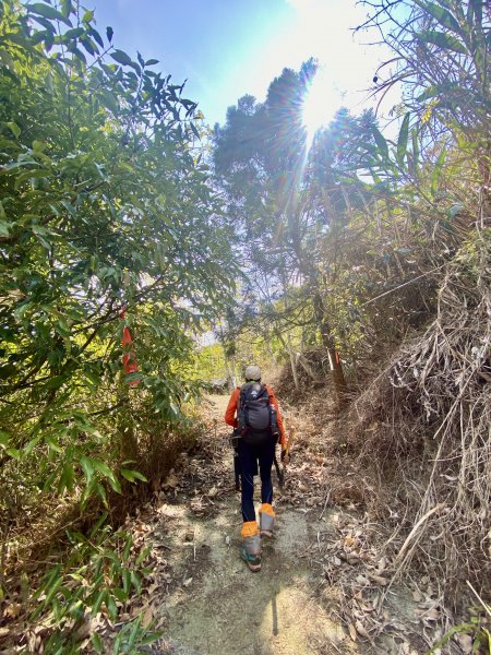 台中新社基石巡禮--小溪頭山.中和山.中和下山.二櫃山.水涵坑山.湖興山   2023.03.152071432