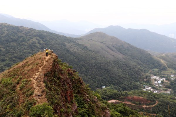 HK - 馬鞍山 (三角石河)1270476