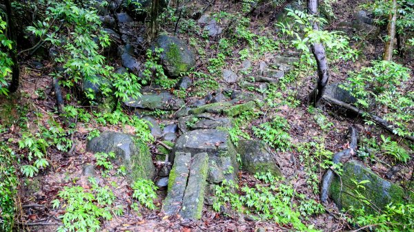 石笋古道,焿子寮古道,松子嶺古道2798352