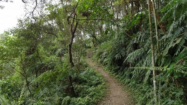 紫微環山步道2100164