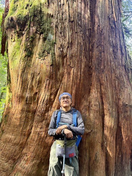 鎮西堡巨木步道B區全段+A區部分3008542