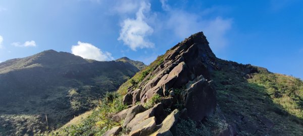 劍龍稜初體驗2431366