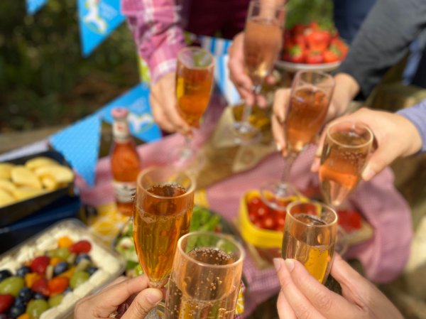 馬那邦山賞楓歡樂野餐/採草莓苗栗一日遊1217040